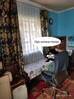 Лот: 20045324. Фото: 7. Яркий цветочный сад 9 соток с...