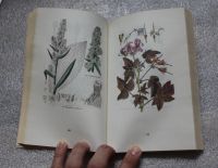 Лот: 20775122. Фото: 5. Книга. Русский народный лечебник...