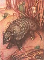 Лот: 15418513. Фото: 10. Константиновский Майлен - КОАПП...