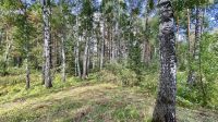 Лот: 25294724. Фото: 18. 3-комн. дача , село Овсянка село...