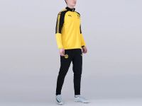 Лот: 12685287. Фото: 3. Спортивный костюм Puma (5889... Одежда, обувь, галантерея