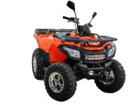 Лот: 25659095. Фото: 3. Квадроцикл MOTOLAND ATV 200 Max. Авто, мото, водный транспорт