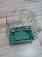 Лот: 8365695. Фото: 3. Клетка (1). Растения и животные