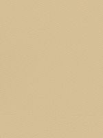 Лот: 24604384. Фото: 2. Комбинезон BASK. Спецодежда, СИЗ, пожарное оборудование