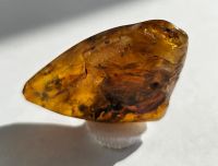 Лот: 25335738. Фото: 5. Янтарь с инклюзом (Жук)