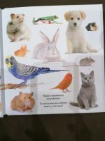 Лот: 15220140. Фото: 3. Фотокнига детская Клевер Найди... Литература, книги