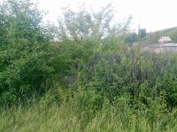 Лот: 2894025. Фото: 2. Участок за солнечным 8 соток Русич. Продажа