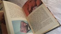 Лот: 8239188. Фото: 3. ок (09..025) Камень, рождающий... Литература, книги