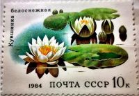Лот: 12966474. Фото: 4. Марки Флора. СССР. Водные растения...