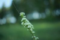 Лот: 5705102. Фото: 5. Гелиос 44 "58mm f2.0 (КМЗ Буква...