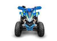 Лот: 25740259. Фото: 3. Квадроцикл RACER Typhoon 250. Авто, мото, водный транспорт