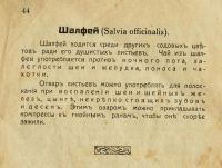 Лот: 20842650. Фото: 7. Я. Бирзинь. Целебные растения...