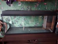 Лот: 16050363. Фото: 2. Аквариум. Аквариумистика
