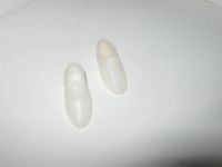 Лот: 6375845. Фото: 2. кукла "Кен" 90-х годов. Коллекционирование, моделизм