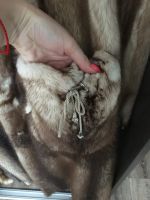 Лот: 11447289. Фото: 3. Шуба норковая. Одежда, обувь, галантерея