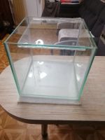 Лот: 17402416. Фото: 4. Аквариум кубик новы. Красноярск