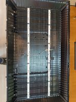 Лот: 24990099. Фото: 3. Подсветка 261501005520 06-32C2X6-618X14-180815... Бытовая техника