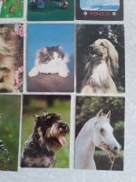 Лот: 16653827. Фото: 5. 20 шт. Все одним лотом. Календарики...