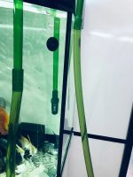 Лот: 17374356. Фото: 4. Атман 3338 внешний фильтр. Красноярск