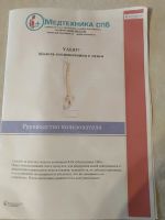 Лот: 16234317. Фото: 3. Анатомическая модель позвоночника. Красота и здоровье