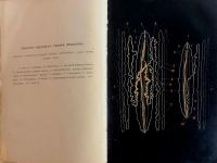 Лот: 15574613. Фото: 6. Холодковский Н.А. Учебник зоологии...