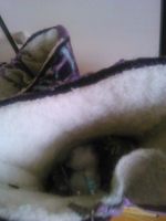 Лот: 6367685. Фото: 2. Валенки детские Котофей. Обувь