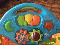 Лот: 6646693. Фото: 3. Ходынки дуга. Красноярск