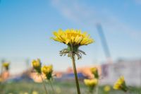 Лот: 18928918. Фото: 3. Nikon 24-85mm f/2.8-4D Macro. Красноярск