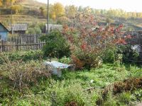 Лот: 810933. Фото: 3. Дача в черемушках. Недвижимость