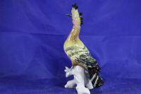 Лот: 16152804. Фото: 5. Фарфоровая статуэтка Удод Попугай...