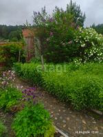 Лот: 25288714. Фото: 3. 1-комн. дача , деревня Вечерницы... Недвижимость