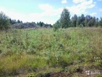 Лот: 9393033. Фото: 4. 20 соток Емельяновский район. Красноярск
