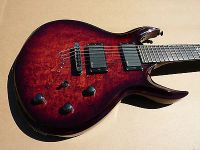 Лот: 3369912. Фото: 2. Schecter Devil Custom до пятницы... Музыкальные инструменты