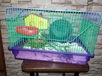 Лот: 10279102. Фото: 3. Отдам хомяка с клеткой. Растения и животные