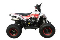 Лот: 25659167. Фото: 4. Квадроцикл MOTAX Gekkon 90cc. Красноярск