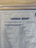 Лот: 7740103. Фото: 4. трафарет-фрукты; лесные звери. Красноярск
