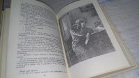 Лот: 10427897. Фото: 9. Анатолий Алексин. Повести,...вошли...