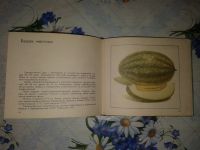 Лот: 20065925. Фото: 5. Сорта Бахчевых Культур.Каталог...