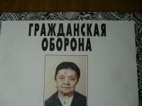 Лот: 9979625. Фото: 2. Гражданская оборона. " Попс... Коллекционирование, моделизм