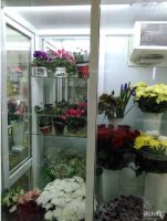Лот: 8404297. Фото: 4. Холодильник для цветов 1.2x0.9x2... Красноярск