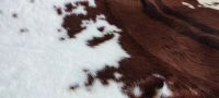 Лот: 24616673. Фото: 5. Ковер шкура коровы, имитация