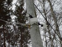Лот: 3978743. Фото: 20. Видеонаблюдение Видедомофоны ОПС...