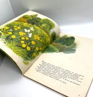 Лот: 25169609. Фото: 3. 📗 Анатолий Онегов. На лугу. Худ... Литература, книги