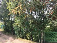 Лот: 12831864. Фото: 2. Дача 57 м² на участке 11 сот. Продажа