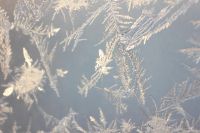 Лот: 5485363. Фото: 3. макроадаптер реверсионный для... Фото, видеокамеры, оптика