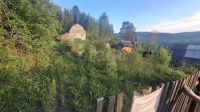 Лот: 25439931. Фото: 2. 1-комн. дача , СТ Петряшино СТ... Продажа