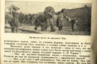 Лот: 17267783. Фото: 4. Руднев Я. Народы мира. Этнографические... Красноярск