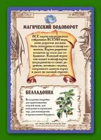 Лот: 11363967. Фото: 2. Настольная игра Зельеварение... Сувениры, подарки