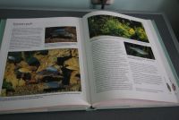 Лот: 21173085. Фото: 5. Книга. Энциклопедия .Аквариумные...