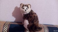 Лот: 13708714. Фото: 4. Игрушка папье-маше Кот